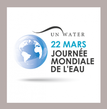 Risultati immagini per logo journee mondiale de l'eau 2017