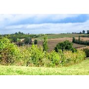 Appels à projets Plantons des haies