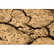  Etude prospective « L’eau en 2050 : graves tensions sur les écosystèmes et les usages ».
