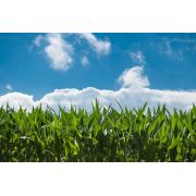 Formation Agriculteurs organisée par les CIVAM Normands