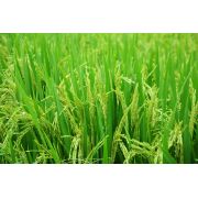 Guide anti-greenwashing ADEME