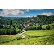 Mise à jour du dispositif France ruralités revitalisation