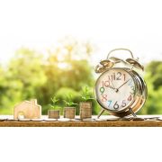 Publication des délais de paiement des collectivités territoriales