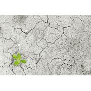  Rapport de la Cour des comptes sur l’amélioration de la gestion de la ressource en eau