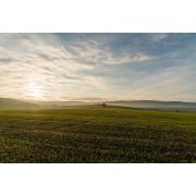 Ratios régionaux de prairies permanentes 2023