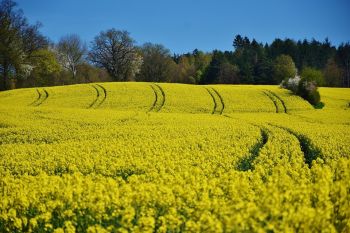 Appel à projets national sur le plan Ecophyto II
