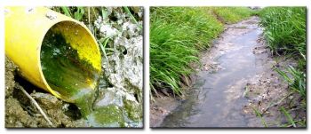Arrêtés nitrates : 6ème programme d'actions normand et référentiel