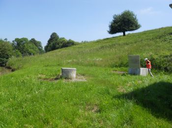 Avis de l’ANSES sur le Chlorothalonil