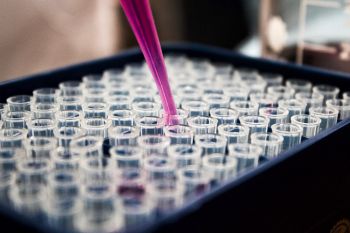 Certificat d’information concernant l’activité des laboratoires agréés pour les prélèvements et analyses du contrôle sanitaire des eaux