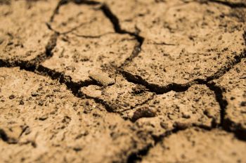  Etude prospective « L’eau en 2050 : graves tensions sur les écosystèmes et les usages ».