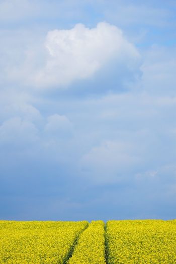 Évolution du droit pénal de l’environnement