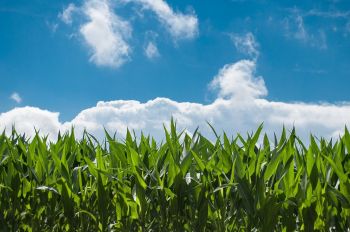 Formation Agriculteurs organisée par les CIVAM Normands
