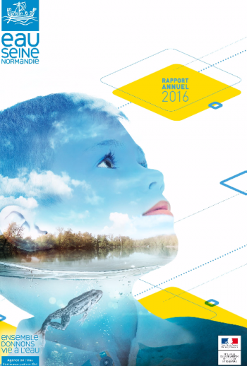 Rapport annuel 2016 de l'AESN