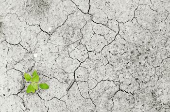  Rapport de la Cour des comptes sur l’amélioration de la gestion de la ressource en eau