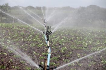 Un agriculteur normand dit non au Glyphosate