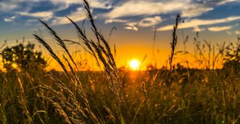 Acteurs agricoles 76
