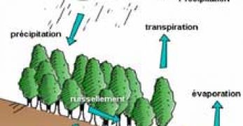 Coefficient de ruissellement