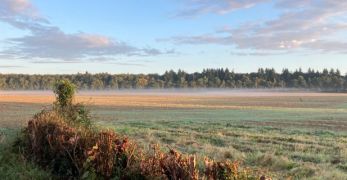 Les solutions en faveur de la pr&eacute;servation de l&rsquo;eau potable fond&eacute;es sur la nature
