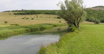 Mesures Agro-Environnementales (MAE)