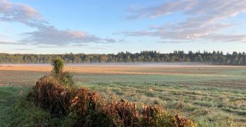 Mise en place d’une stratégie de protection de la  ressource en eau