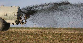 Traitement des effluents issus des élevages agricoles