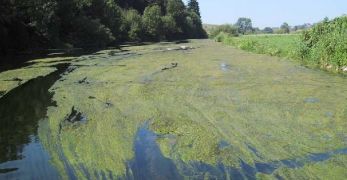 Traitement des pollutions diffuses
