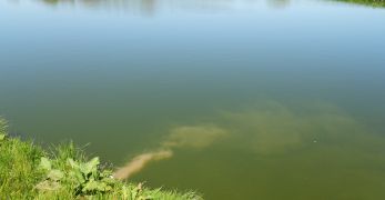 Transfert des compétences eau et assainissement à une communauté de communes : mise à disposition ou transfert de propriété des ouvrages ?