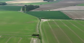 Utilisation des Espaces Bois&eacute;s Class&eacute;s dans la lutte contre le ruissellement