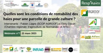 Webinaire (replay) : Quelles sont les conditions de rentabilité des haies pour une parcelle de grande culture ?
