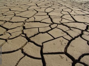 Comment garantir l'accès à l'eau potable en période de sécheresse?