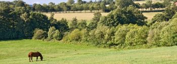 Comment la commune peut-elle contraindre un agriculteur à replanter les haies classées qu'il a arrachées?