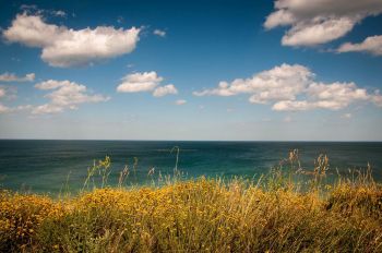Des canalisations des services publics peuvent-elles être implantées dans les espaces remarquables ou caractéristiques du littoral et des milieux nécessaires au maintien des équilibres biologiques ?