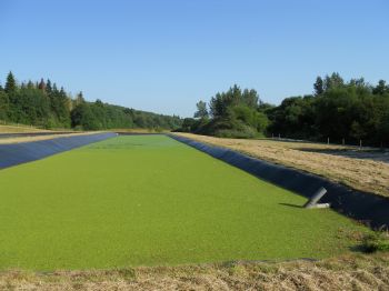 Existe-t-il une réglementation imposant un point d’eau sur les lagunages pour des questions d’hygiène du personnel notamment?