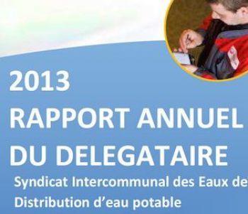 La Communauté de communes doit présenter le rapport du délégataire à son assemblée, ses communes membres doivent-elles le présenter à leur conseil?