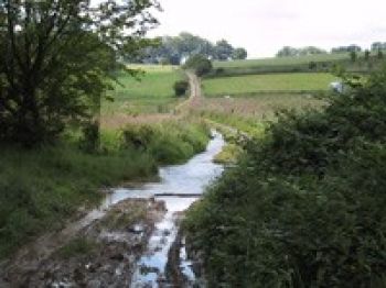 Le propriétaire d’un terrain est-il propriétaire de l’eau située sous ce terrain?