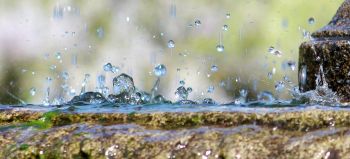 Ne serait-il pas pertinent de permettre aux collectivités d'utiliser les eaux de pluie pour l'alimentation des toilettes des crèches, des écoles maternelles et élémentaires ?