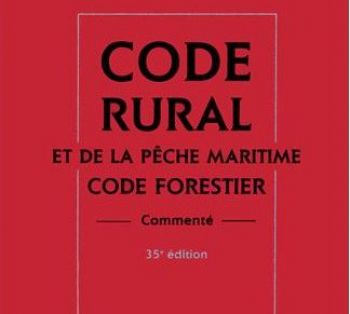 Qu'est-ce qu'un 