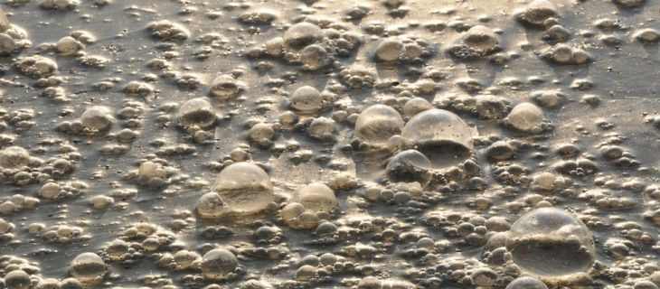 Boues des STEP