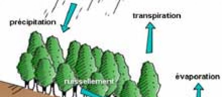 Coefficient de ruissellement