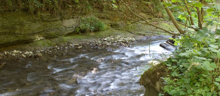 Entretien des cours d'eau non domaniaux