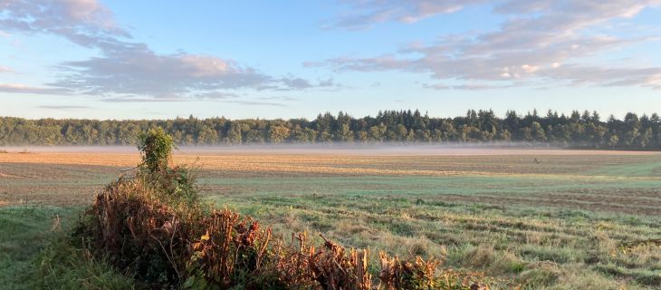 Les solutions en faveur de la pr&eacute;servation de l&rsquo;eau potable fond&eacute;es sur la nature