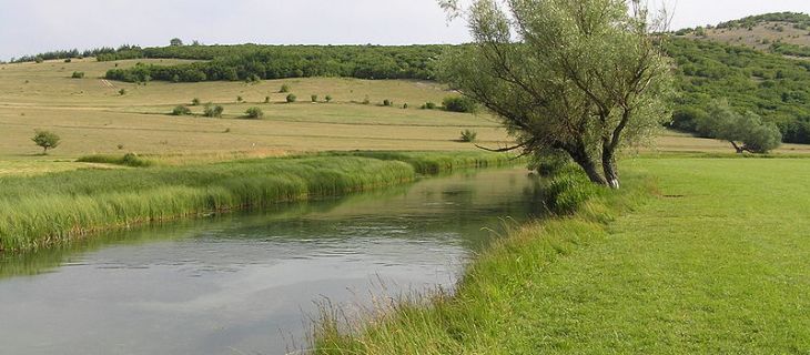 Mesures Agro-Environnementales (MAE)