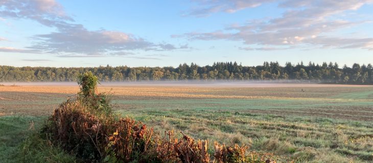 Mise en place d’une stratégie de protection de la  ressource en eau