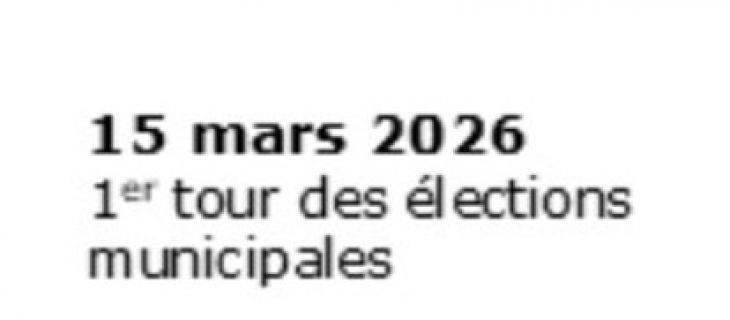 Passation des marchés publics et contrats de concession de services publics en période électorale
