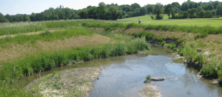 Rétablissement de la continuité écologique des cours d'eau