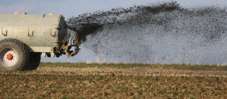 Traitement des effluents issus des élevages agricoles