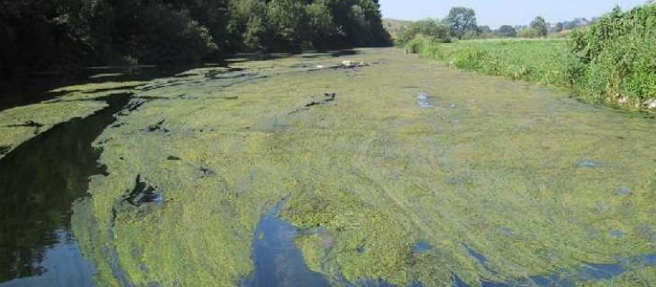 Traitement des pollutions diffuses