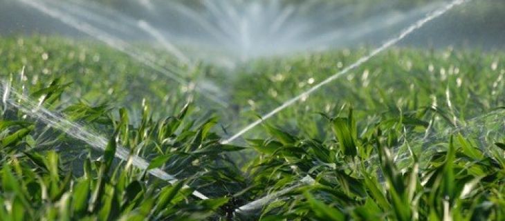 Utilisation des eaux usées à des fins d'irrigation